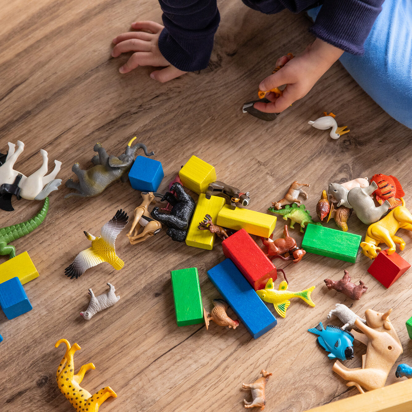 The way a child plays with the toys can give insight into their internal state of being.